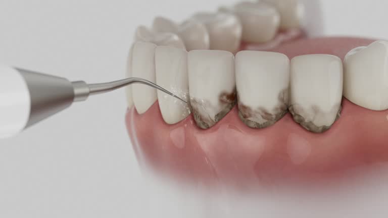 Reliable Dental contractor in Riverview, SC by Dentist Open Now